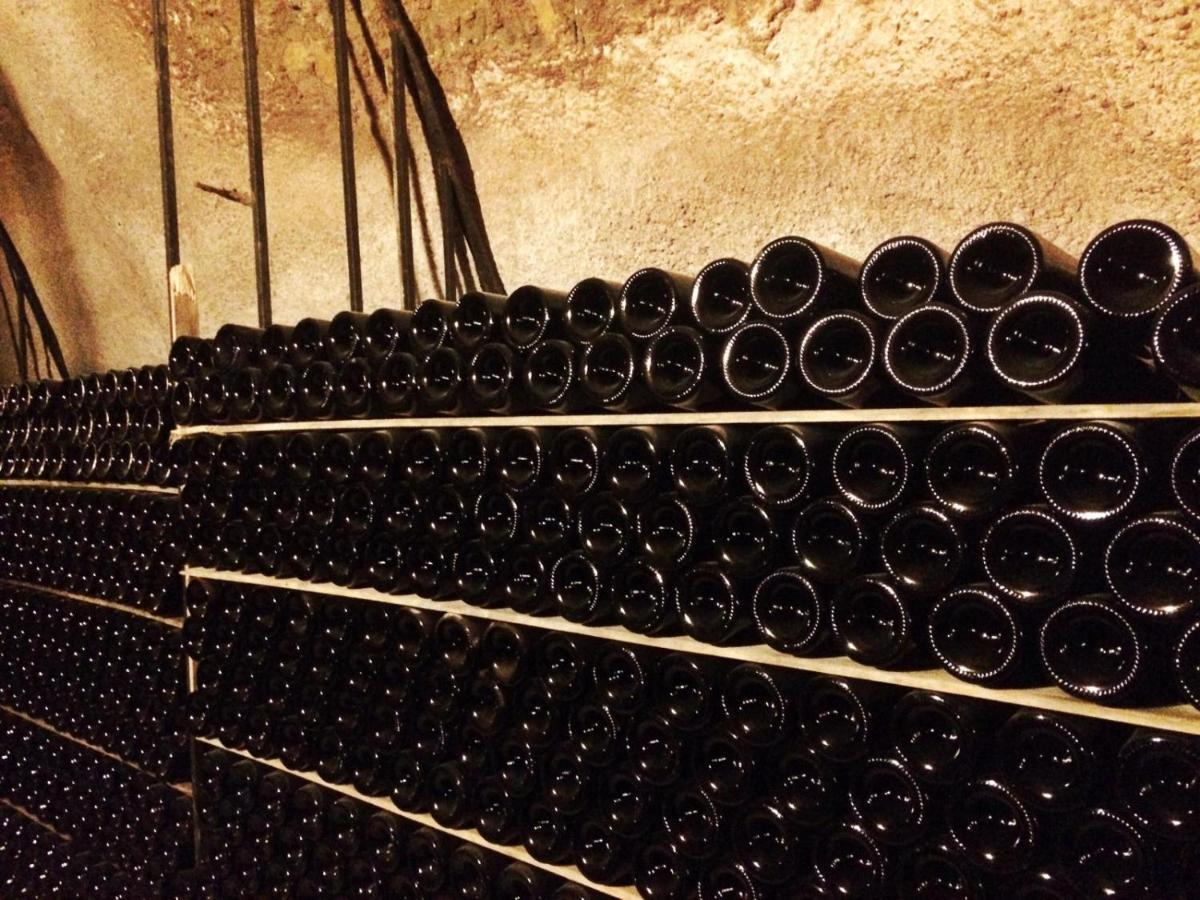 Apartamento Ribera Del Duero Reserva Tubilla del Lago ภายนอก รูปภาพ