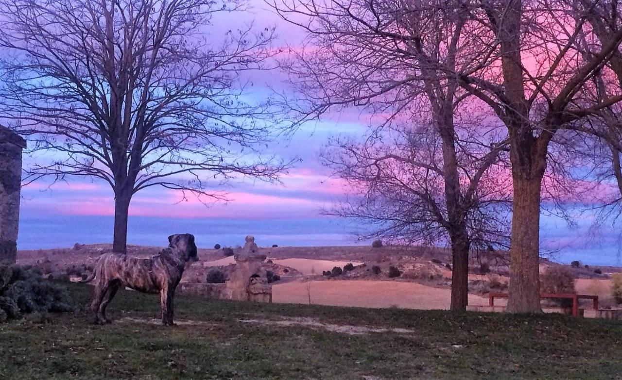 Apartamento Ribera Del Duero Reserva Tubilla del Lago ภายนอก รูปภาพ